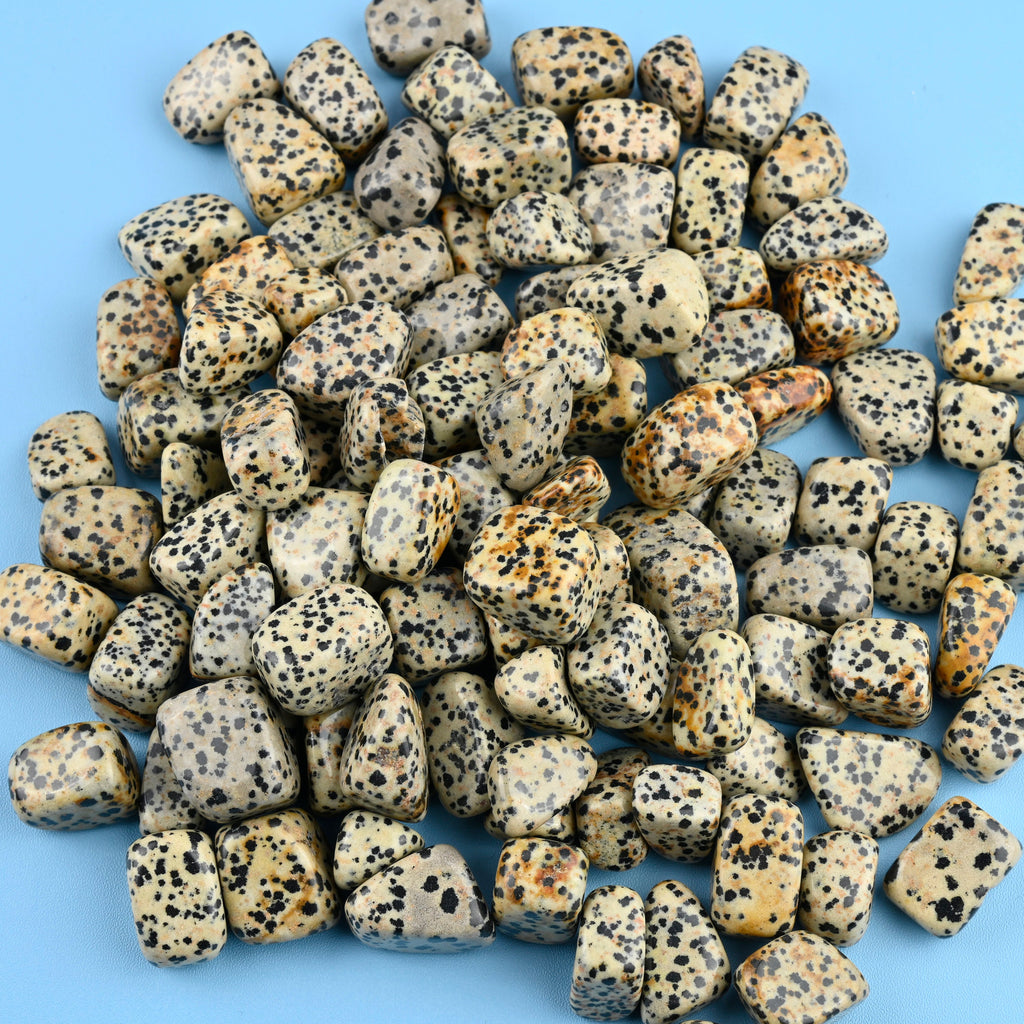 Dalmatian Jasper Tumbled Stones Gemstone Crystal 20-30mm, Healing Crystals, Medium Size Stones