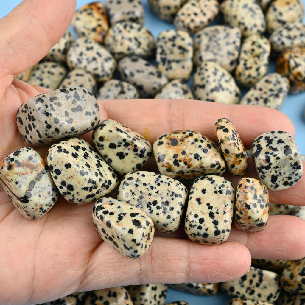 Dalmatian Jasper Tumbled Stones Gemstone Crystal 20-30mm, Healing Crystals, Medium Size Stones