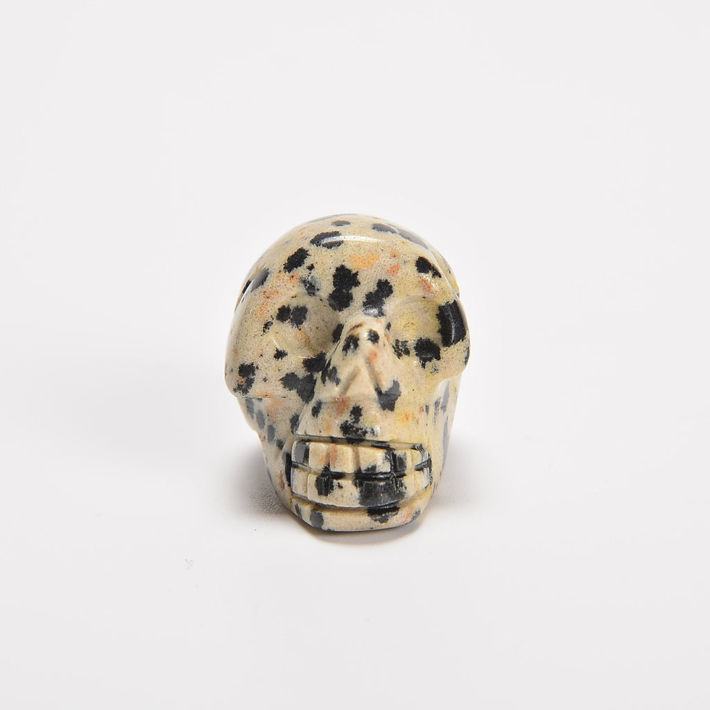 Dalmatian Jasper Skull Gemstone Crystal Carving Figurine 1 inch, Healing Crystal