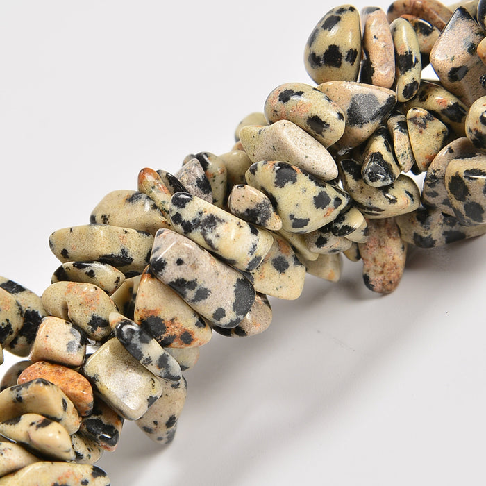 Dalmatian Jasper Smooth Loose Chips Beads 7-8mm - 34" Strand