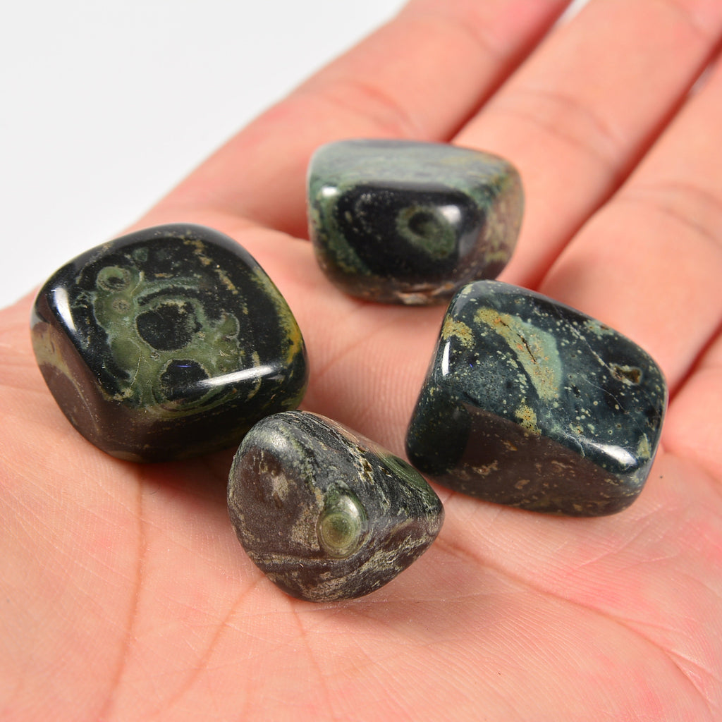 Kambaba Jasper / Crocodile Jasper Tumbled Stones Gemstone Crystal 20-30mm, Healing Crystals, Medium Size Stones