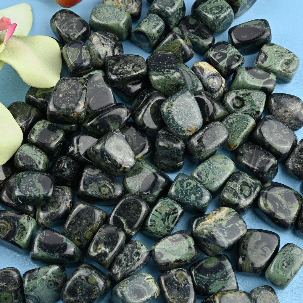 Kambaba Jasper / Crocodile Jasper Tumbled Stones Gemstone Crystal 20-30mm, Healing Crystals, Medium Size Stones