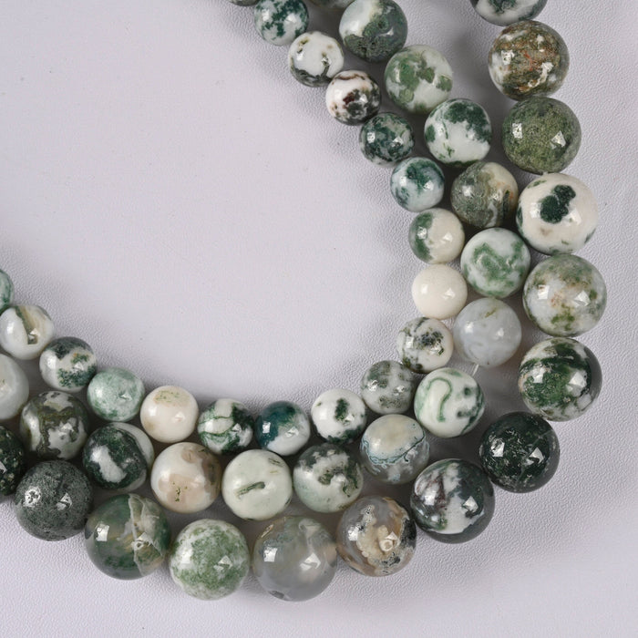 Tree Agate Smooth Round Loose Beads 4mm-12mm - 15" Strand